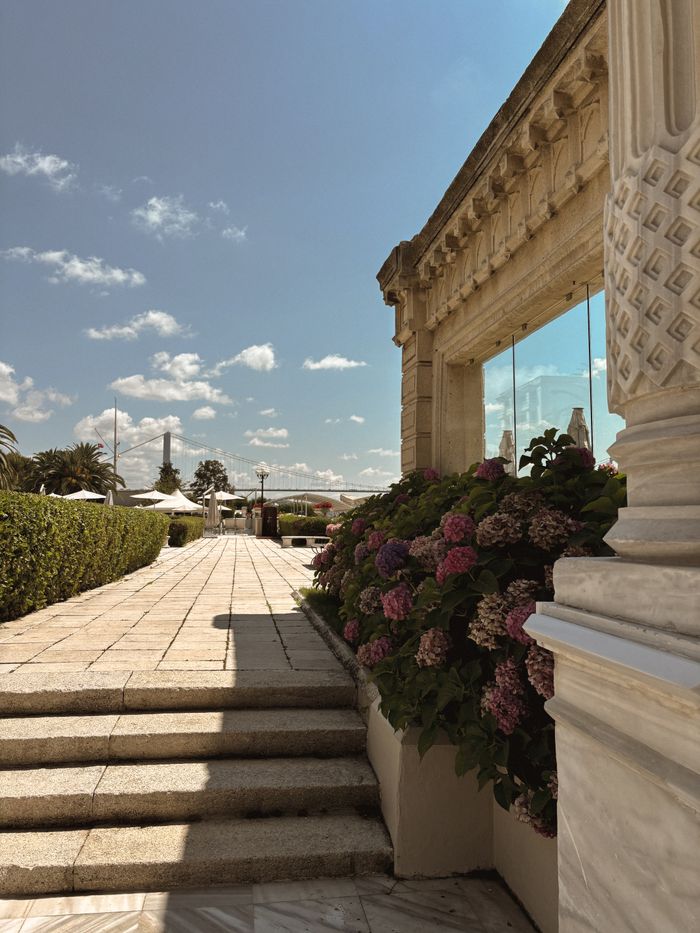 Elegant patio with blooming bougainvillea against a classical architecture backdrop under a bright sky.